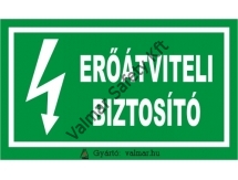 Erőátviteli biztosító